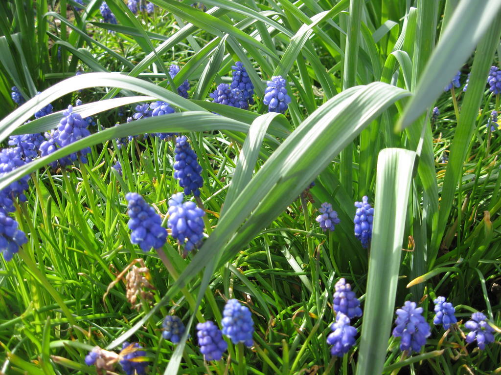 Treliver Farm